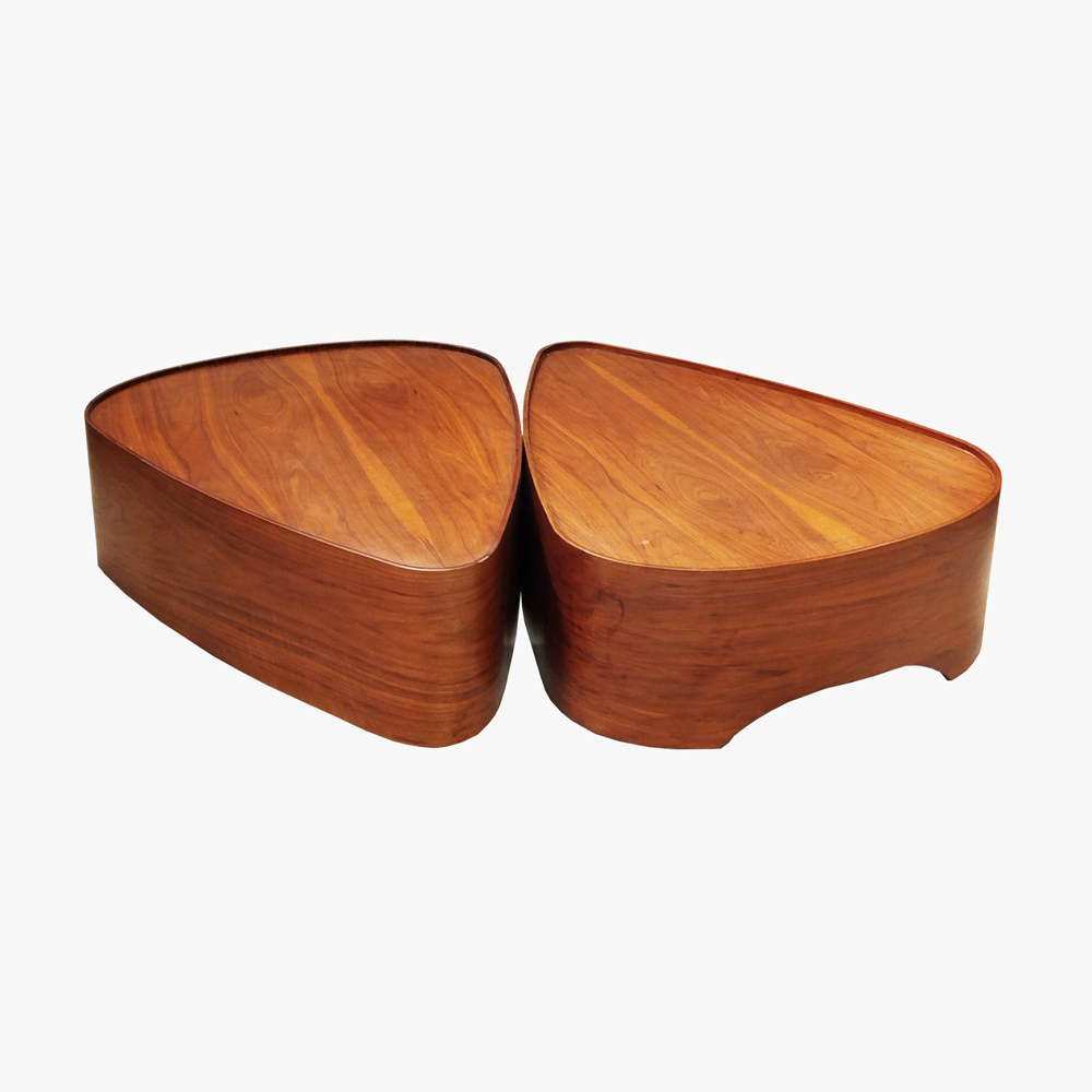 Orchid Coffee Table